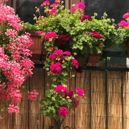 Casa Finalmente Apartment